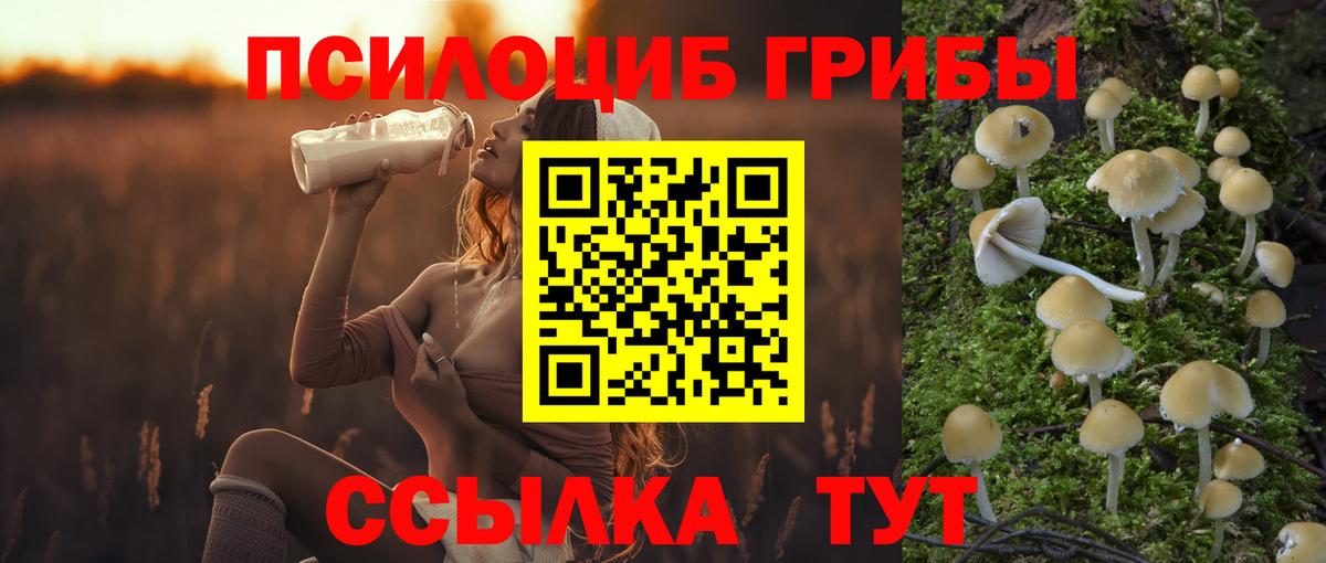 Галлюциногенные грибы MAGIC MUSHROOMS  Галлюциногенные грибы MAGIC MUSHROOMS  Вход с VPN  Протвино 